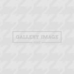 page_gallery_8